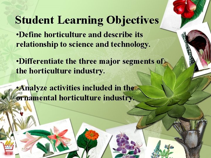 Student Learning Objectives • Define horticulture and describe its relationship to science and technology.