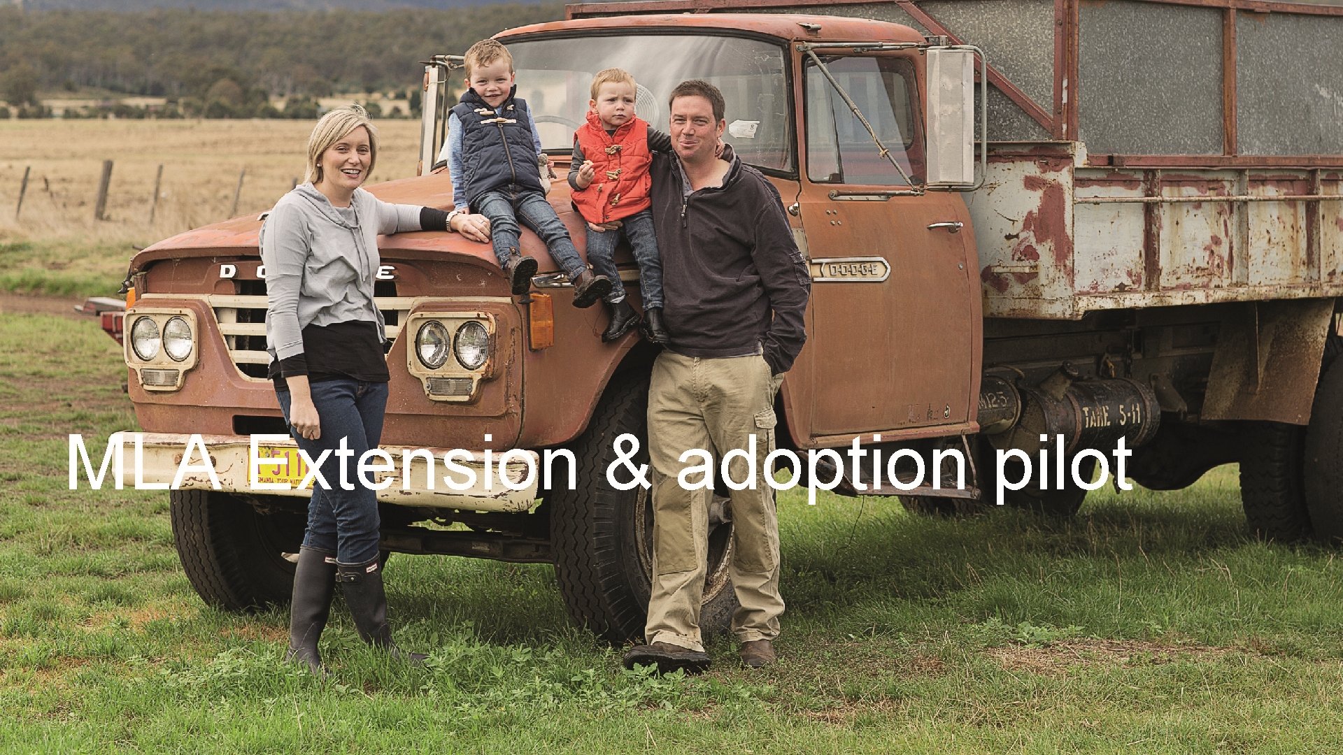 MLA Extension & adoption pilot MLA Extension & adoption pilot