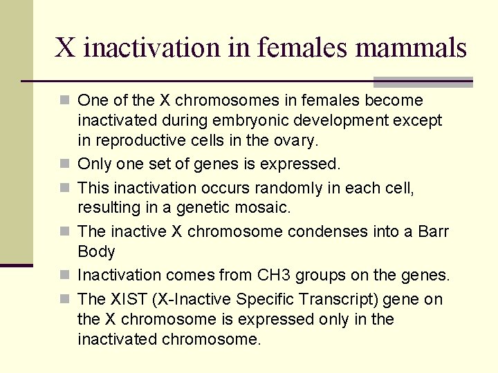 X inactivation in females mammals n One of the X chromosomes in females become