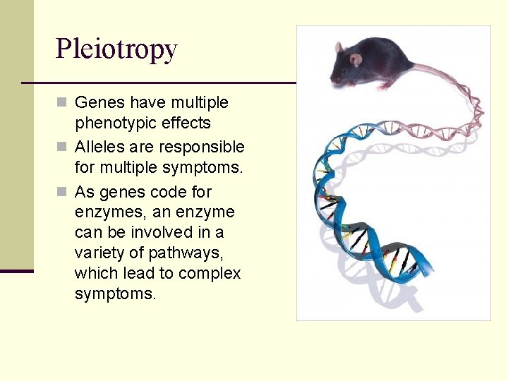 Pleiotropy n Genes have multiple phenotypic effects n Alleles are responsible for multiple symptoms.