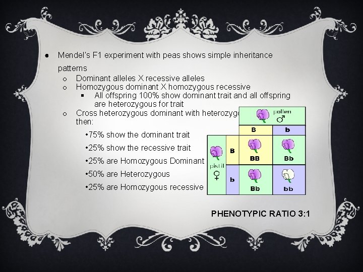 ● Mendel’s F 1 experiment with peas shows simple inheritance patterns o Dominant alleles