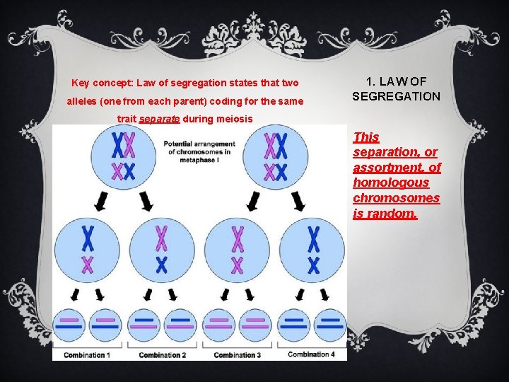 Key concept: Law of segregation states that two alleles (one from each parent) coding