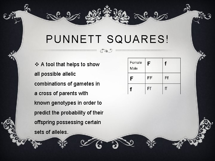 PUNNETT SQUARES! v A tool that helps to show all possible allelic combinations of