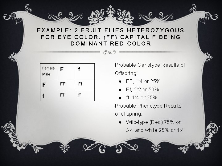 EXAMPLE: 2 FRUIT FLIES HETEROZYGOUS FOR EYE COLOR. (FF) CAPITAL F BEING DOMINANT RED