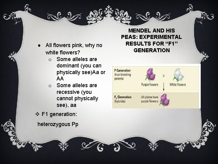 ● All flowers pink, why no white flowers? o Some alleles are dominant (you