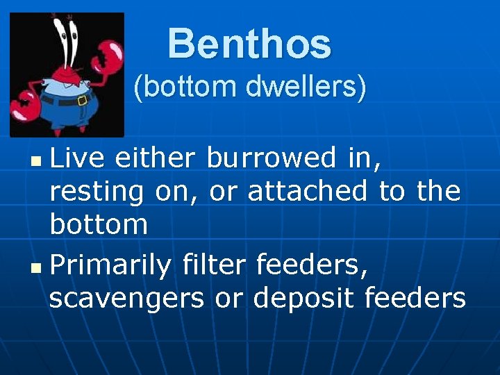 Benthos (bottom dwellers) Live either burrowed in, resting on, or attached to the bottom