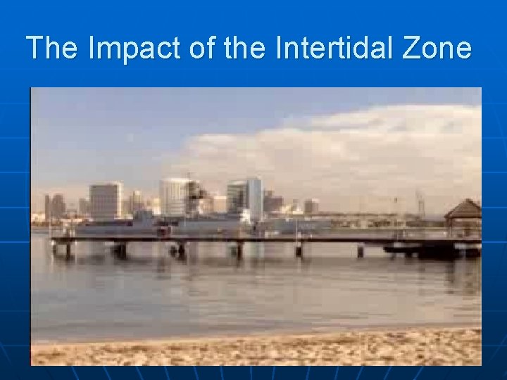 The Impact of the Intertidal Zone 