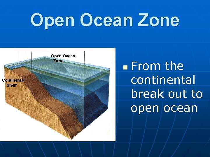 Open Ocean Zone n Continental Shelf From the continental break out to open ocean