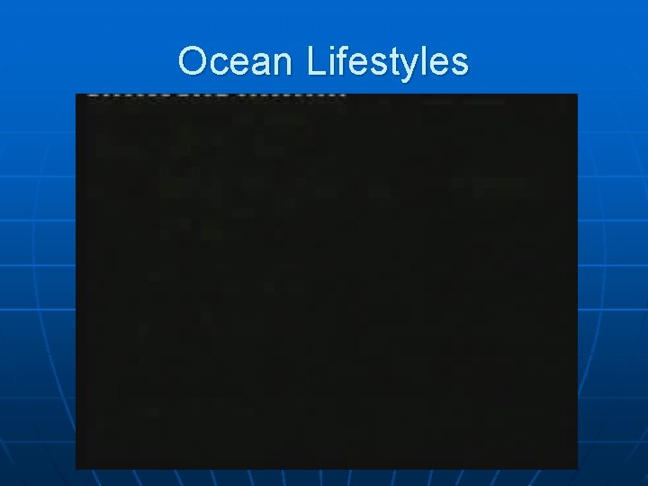 Ocean Lifestyles 