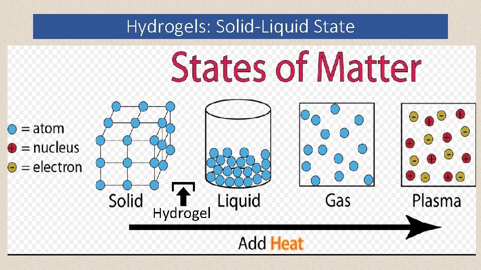 Hydrogels: Solid-Liquid State Hydrogel 