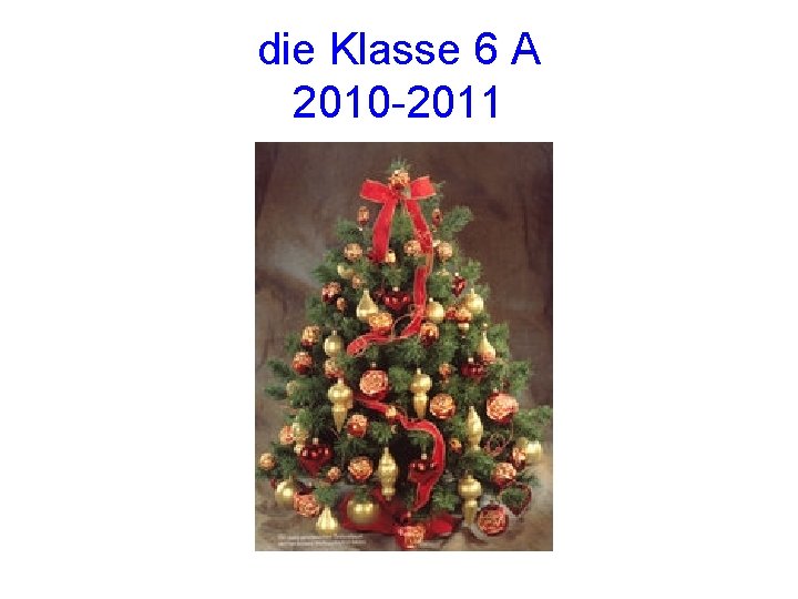 die Klasse 6 A 2010 -2011 