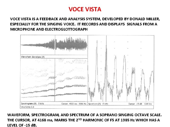VOCE VISTA IS A FEEDBACK AND ANALYSIS SYSTEM, DEVELOPED BY DONALD MILLER, ESPECIALLY FOR