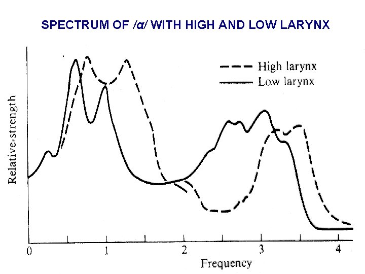 SPECTRUM OF /α/ WITH HIGH AND LOW LARYNX 