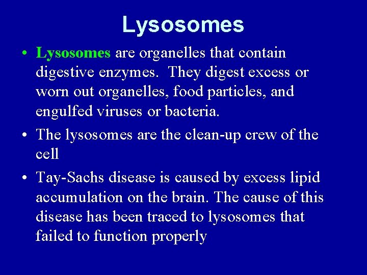 Lysosomes • Lysosomes are organelles that contain digestive enzymes. They digest excess or worn