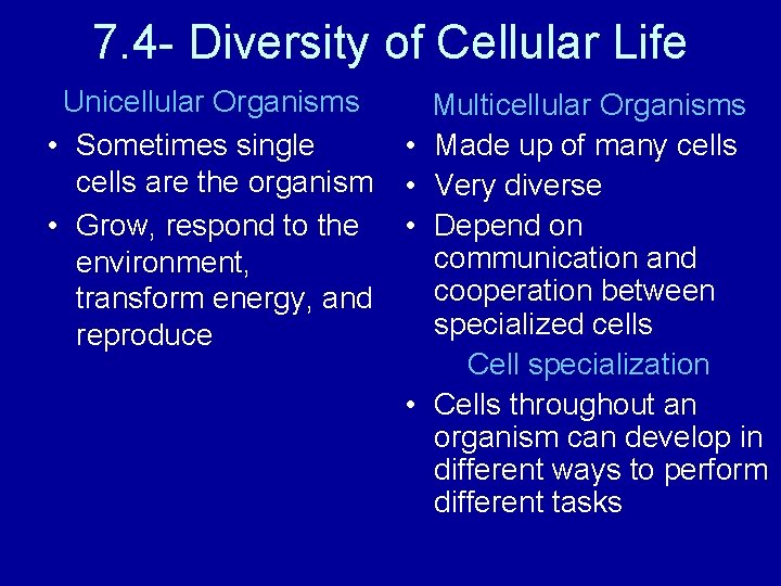 7. 4 - Diversity of Cellular Life Unicellular Organisms • Sometimes single cells are