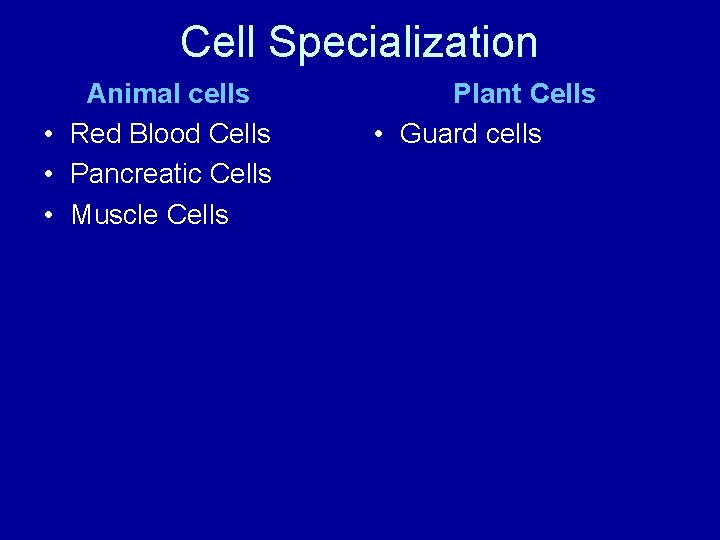 Cell Specialization Animal cells • Red Blood Cells • Pancreatic Cells • Muscle Cells