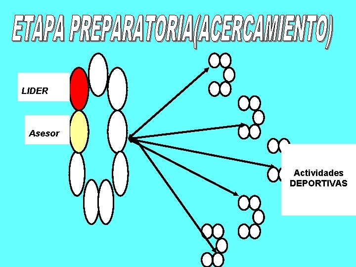 LIDER Asesor Actividades DEPORTIVAS 
