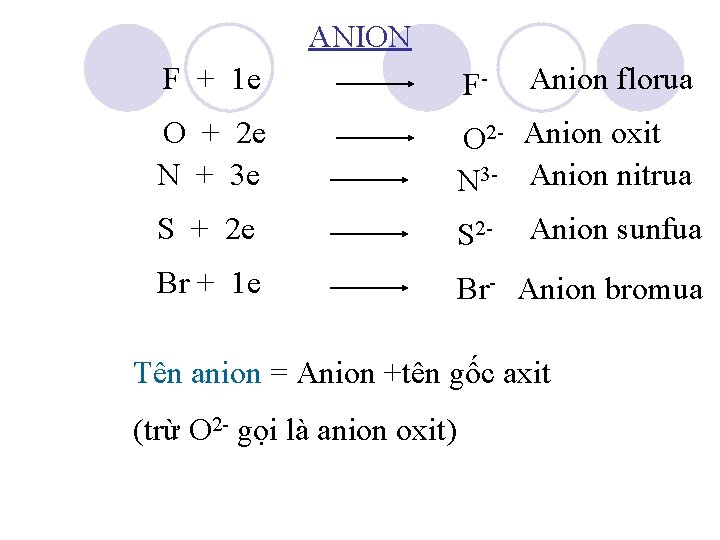 ANION F + 1 e F- Anion florua O + 2 e N +