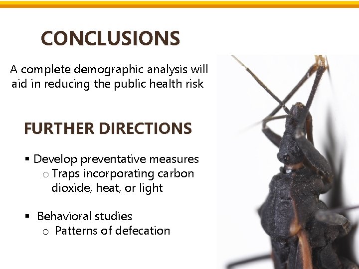 CONCLUSIONS A complete demographic analysis will aid in reducing the public health risk FURTHER CONCLUSIONS A complete demographic analysis will aid in reducing the public health risk FURTHER