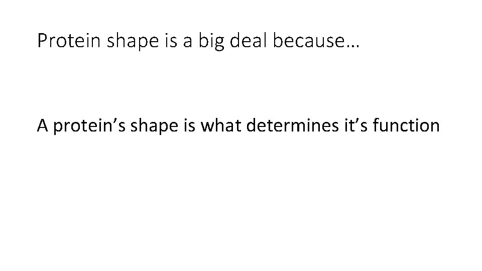 Protein shape is a big deal because… A protein’s shape is what determines it’s Protein shape is a big deal because… A protein’s shape is what determines it’s