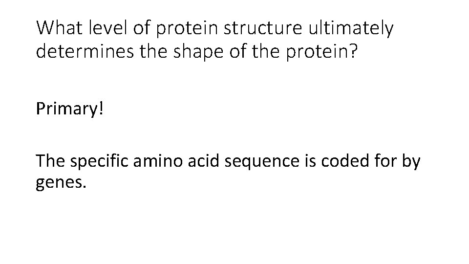 What level of protein structure ultimately determines the shape of the protein? Primary! The What level of protein structure ultimately determines the shape of the protein? Primary! The
