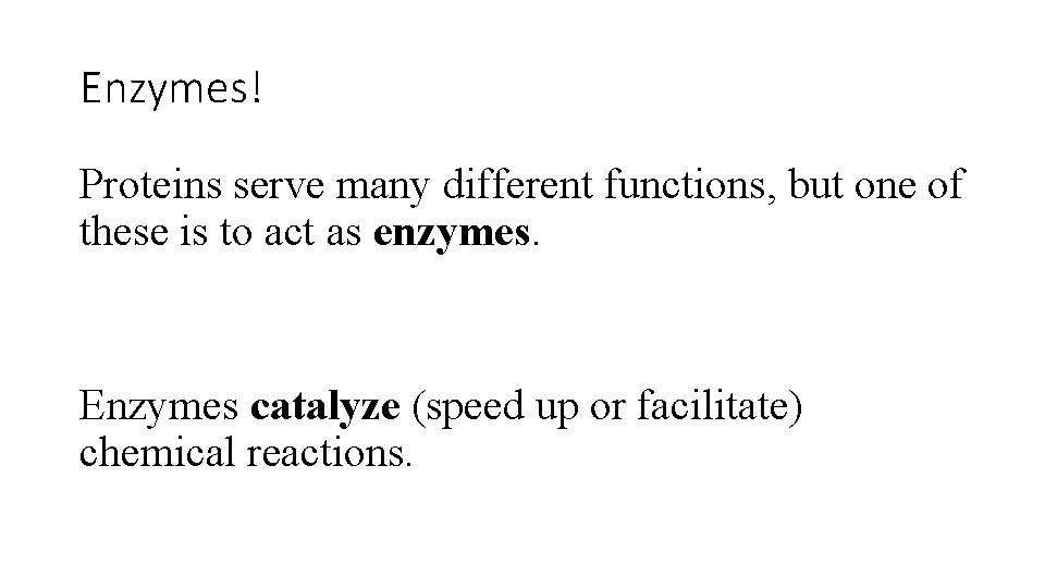 Enzymes! Proteins serve many different functions, but one of these is to act as Enzymes! Proteins serve many different functions, but one of these is to act as