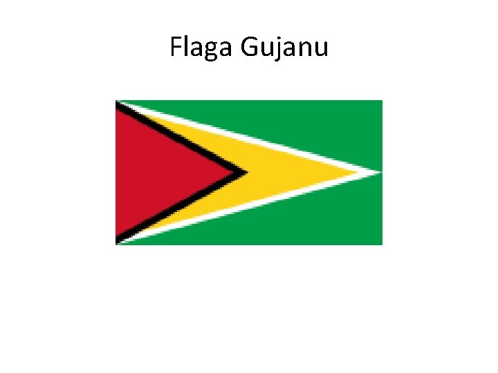 Flaga Gujanu 