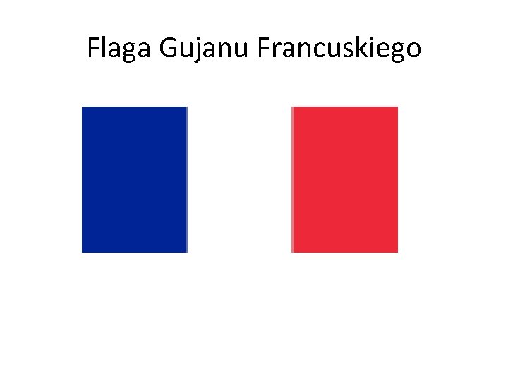Flaga Gujanu Francuskiego 