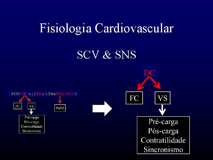 Fisiologia Cardiovascular SCV & SNS 