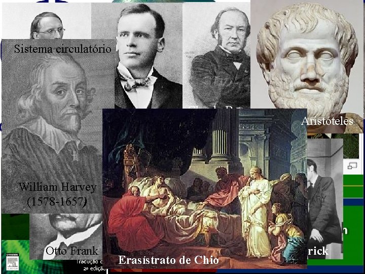 Sistema circulatório Carl Ludwig Ernest Henry Starling Claude Bernard Sir Joseph Barcroft Aristóteles William