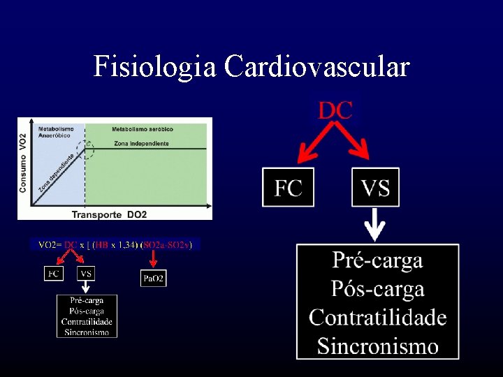 Fisiologia Cardiovascular 
