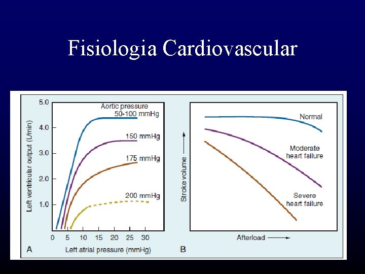 Fisiologia Cardiovascular 