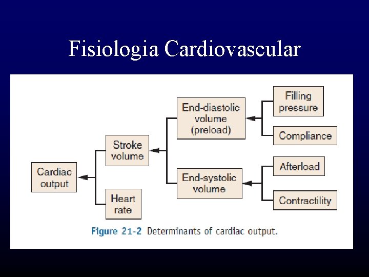 Fisiologia Cardiovascular 