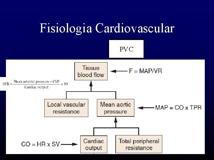 Fisiologia Cardiovascular PVC 