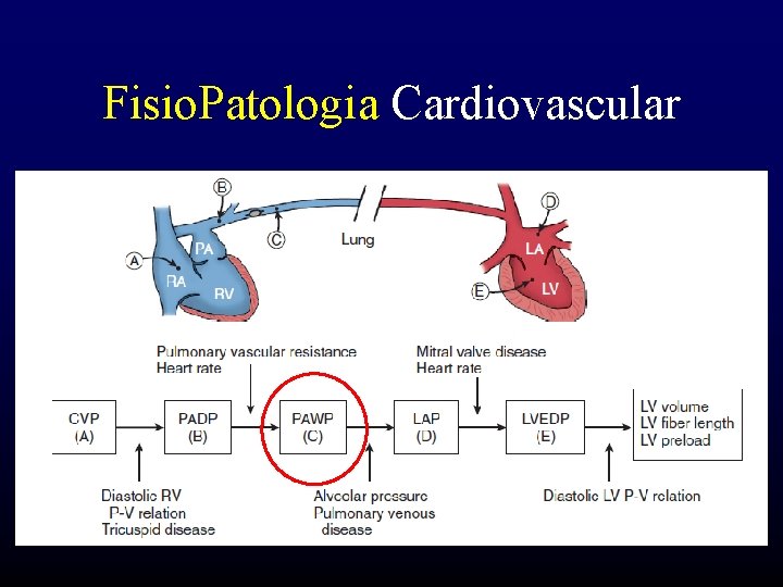 Fisio. Patologia Cardiovascular 