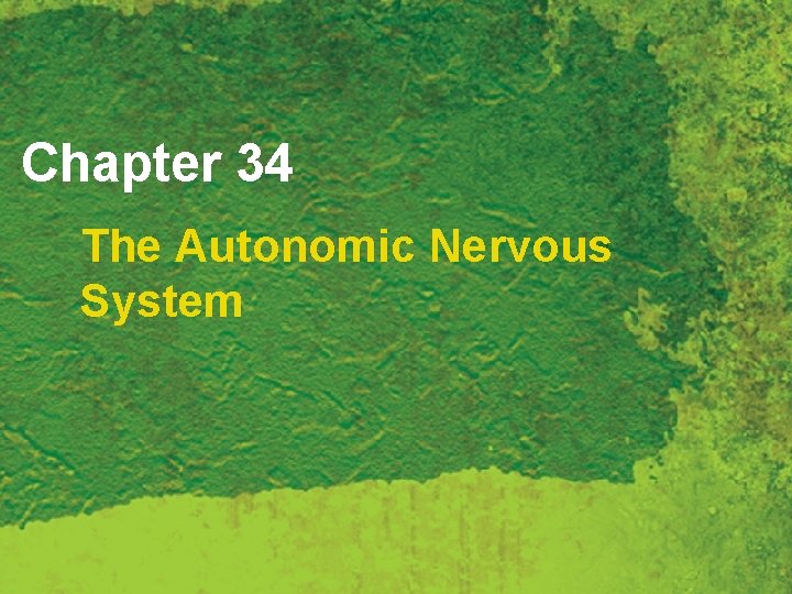 Chapter 34 The Autonomic Nervous System 