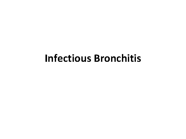 Infectious Bronchitis 