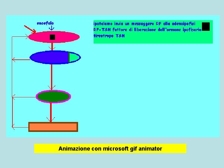 Animazione con microsoft gif animator 