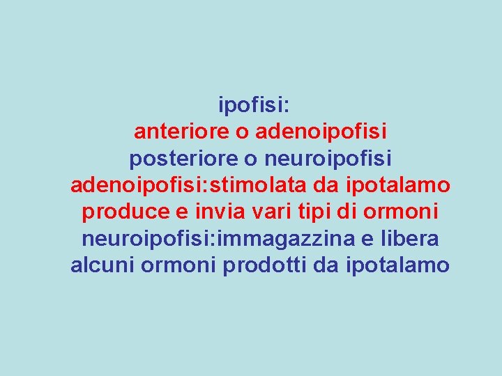 ipofisi: anteriore o adenoipofisi posteriore o neuroipofisi adenoipofisi: stimolata da ipotalamo produce e invia