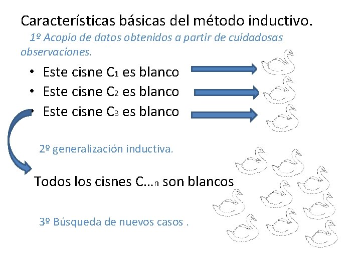 Características básicas del método inductivo. 1º Acopio de datos obtenidos a partir de cuidadosas