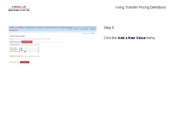 Using Transfer Pricing Definitions Step 5 Click the Add a New Value menu. 