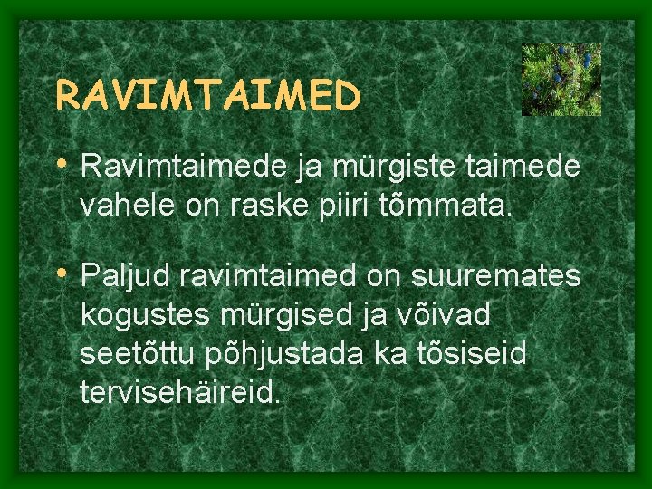 RAVIMTAIMED • Ravimtaimede ja mürgiste taimede vahele on raske piiri tõmmata. • Paljud ravimtaimed