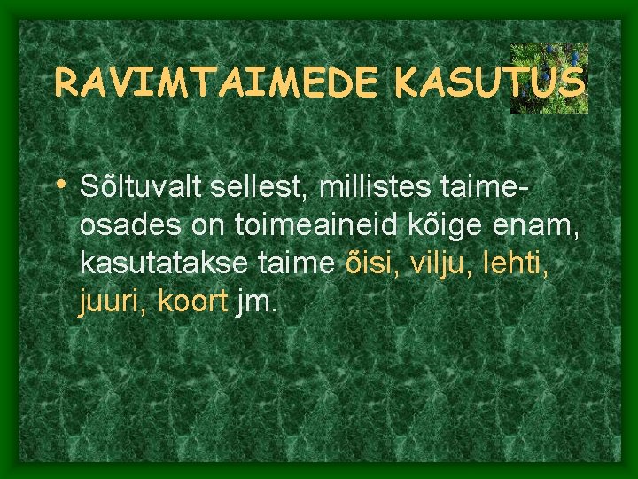 RAVIMTAIMEDE KASUTUS • Sõltuvalt sellest, millistes taimeosades on toimeaineid kõige enam, kasutatakse taime õisi,