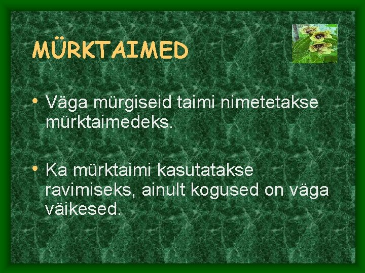 MÜRKTAIMED • Väga mürgiseid taimi nimetetakse mürktaimedeks. • Ka mürktaimi kasutatakse ravimiseks, ainult kogused