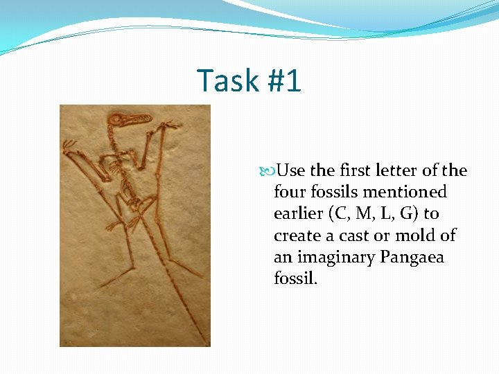 Task #1 Use the first letter of the four fossils mentioned earlier (C, M,