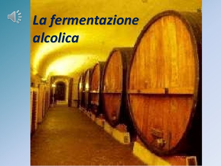 La fermentazione alcolica 