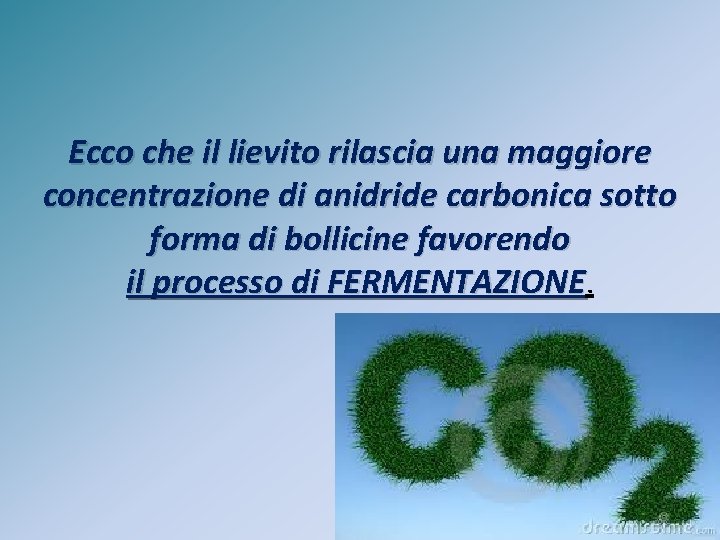 Ecco che il lievito rilascia una maggiore concentrazione di anidride carbonica sotto forma di