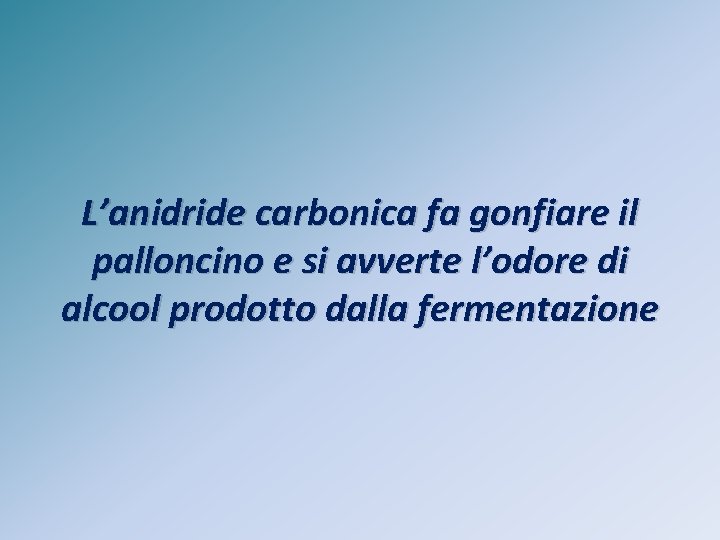 L’anidride carbonica fa gonfiare il palloncino e si avverte l’odore di alcool prodotto dalla