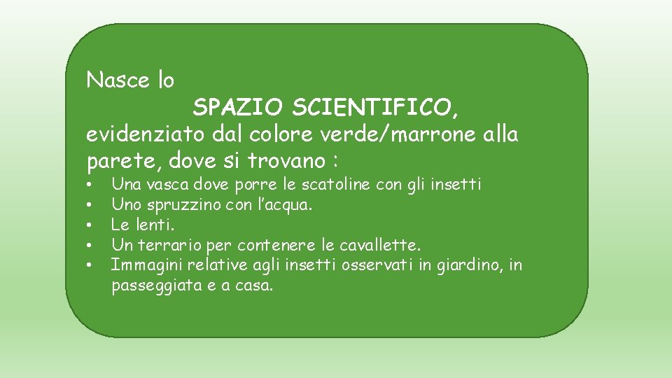 Nasce lo SPAZIO SCIENTIFICO, evidenziato dal colore verde/marrone alla parete, dove si trovano :