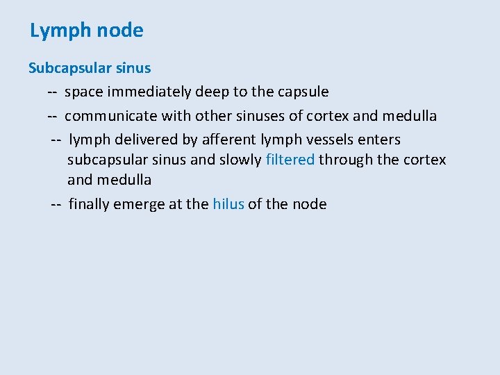 Lymph node Subcapsular sinus -- space immediately deep to the capsule -- communicate with